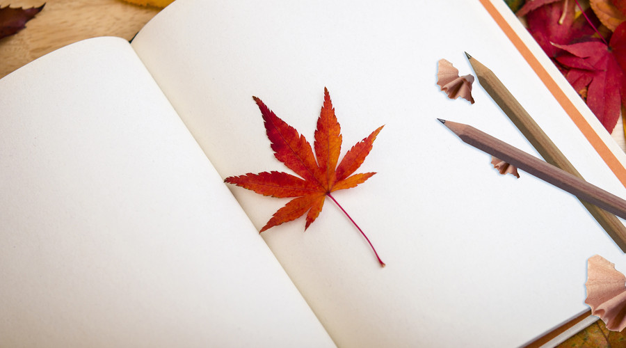 婚前財產約定協議書