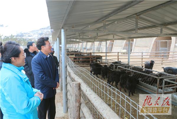 贠建民在鎮原縣督查脫貧攻堅等工作時強調 持續用力彌補短板鞏固提升脫貧成果 拉開架勢構建產業體系促進群眾增收