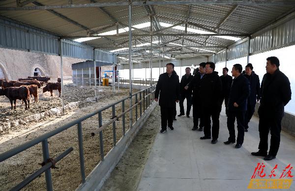 贠建民在正寧縣調研時強調 鞏固提升農業產業發展的良好勢頭 推進脫貧攻堅同鄉村振興有效銜接