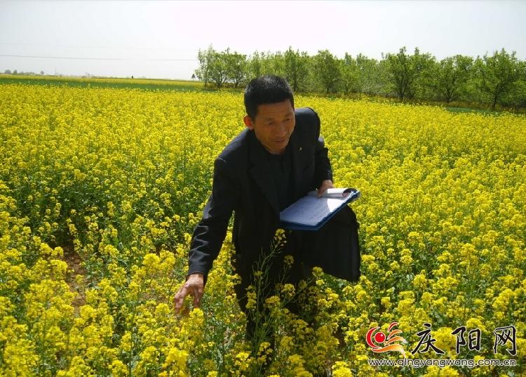 羅盤：“我有一個(gè)關(guān)于種子的夢想”