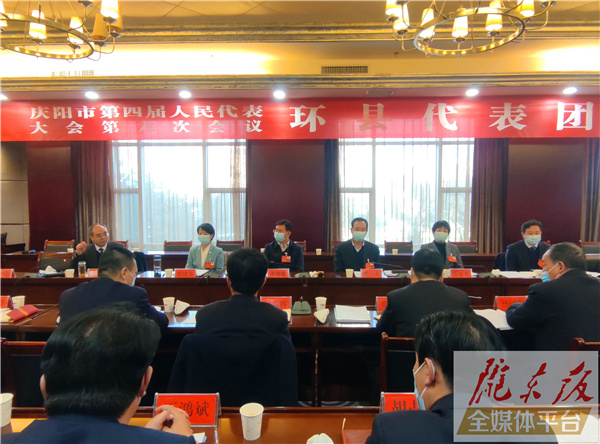 董建鎮在參加環縣代表團審議時強調 努力構建新發展格局 發揮好舉旗引領作用 為環縣經濟社會高質量發展開好局起好步