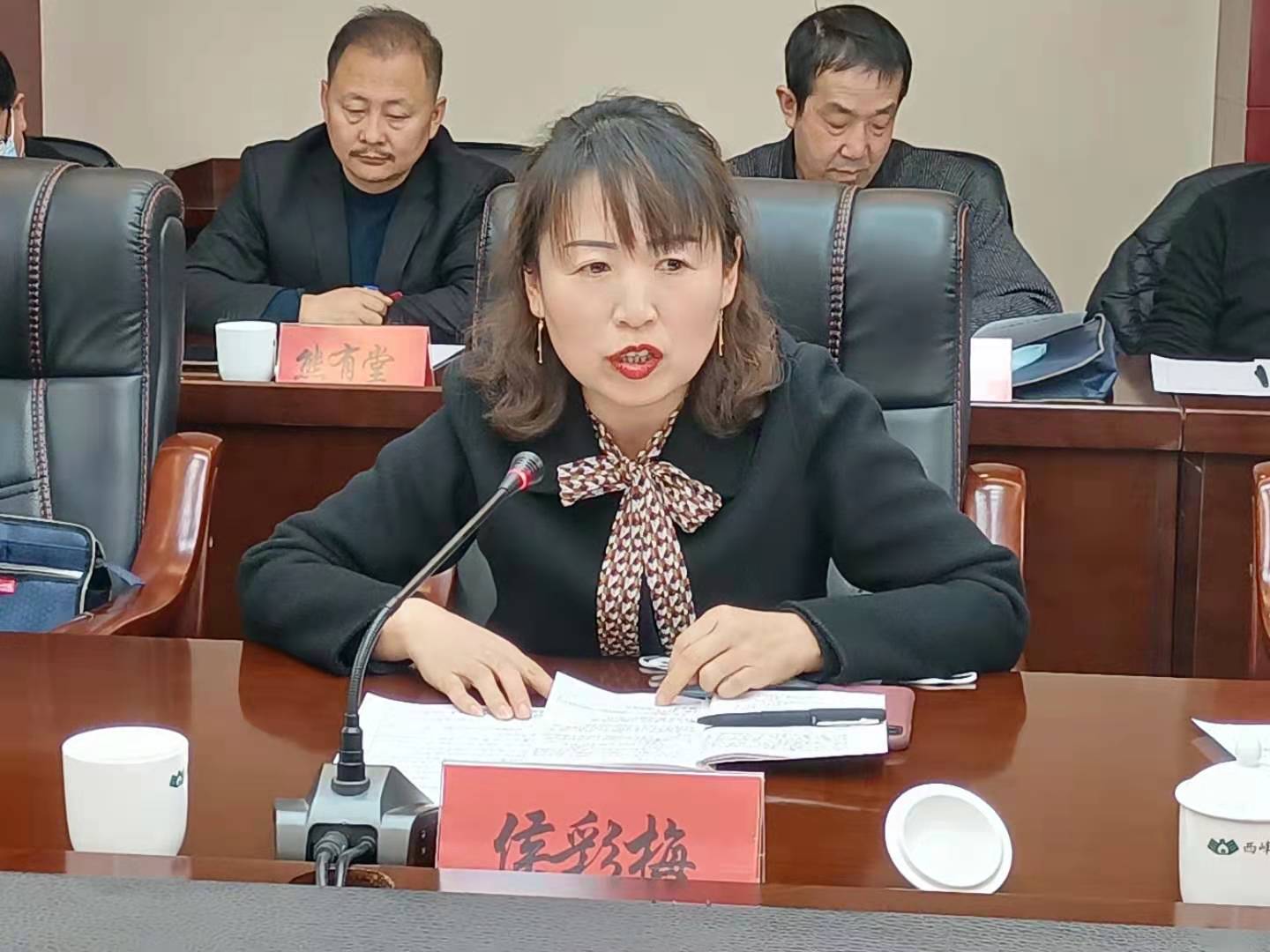 【代表委員建言】侯彩梅委員：進一步規范農村中小學體育教學