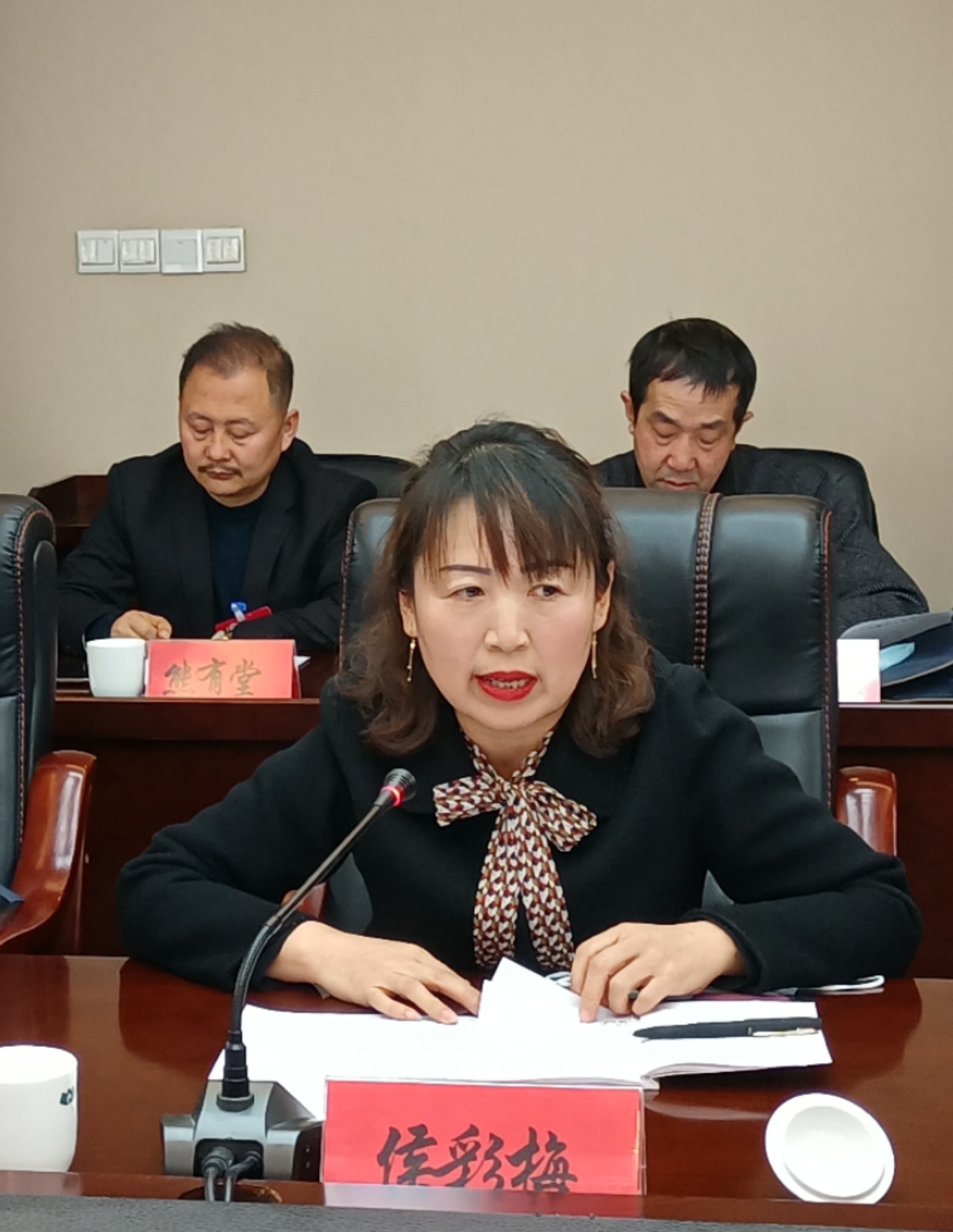 侯彩梅委員在討論發言時就規范農村中小學體育教學提出了建議。