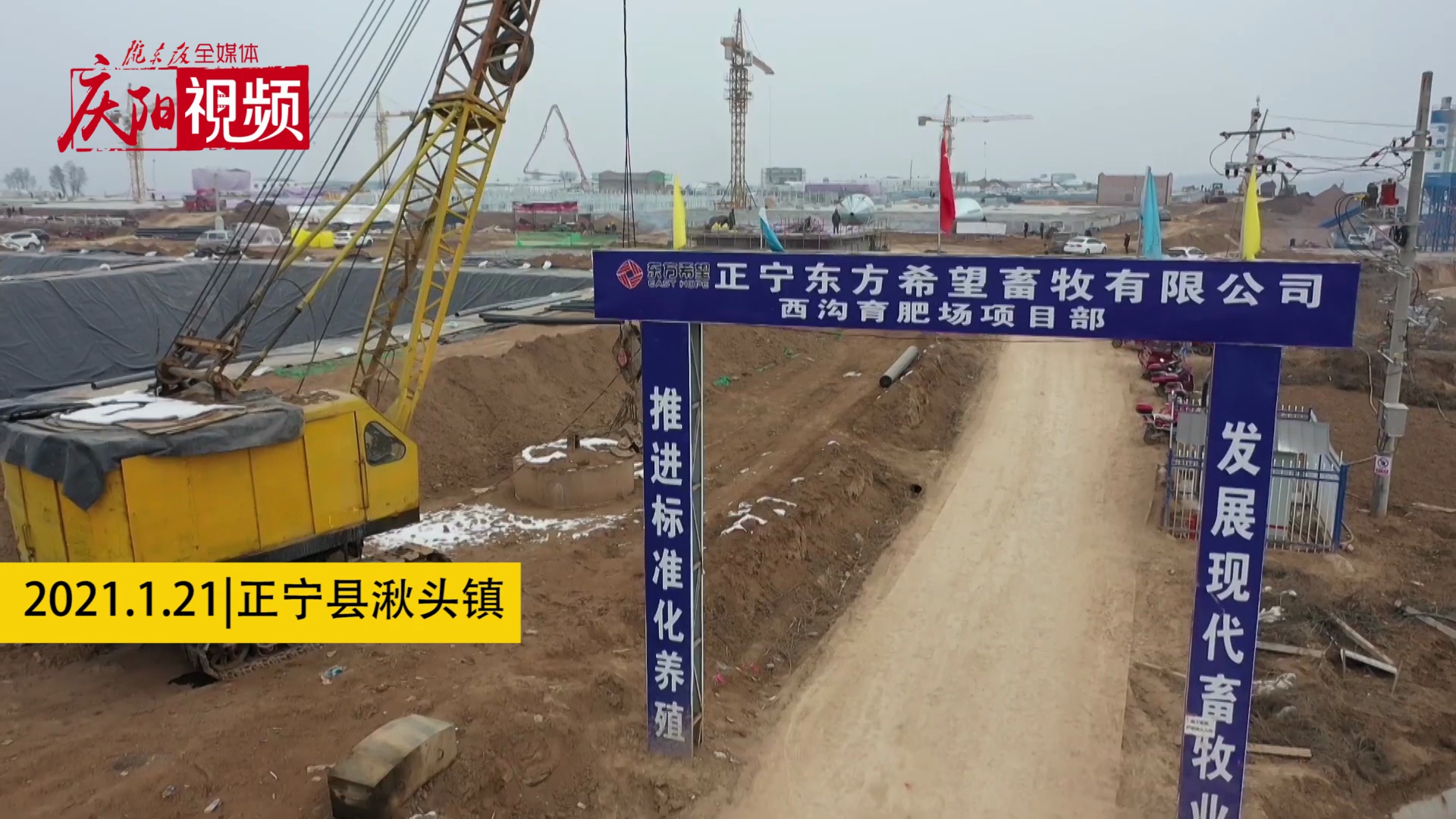 【新春走基層】年出欄將達(dá)6.25萬(wàn)頭！正寧這個(gè)新建生豬育肥場(chǎng)了不得