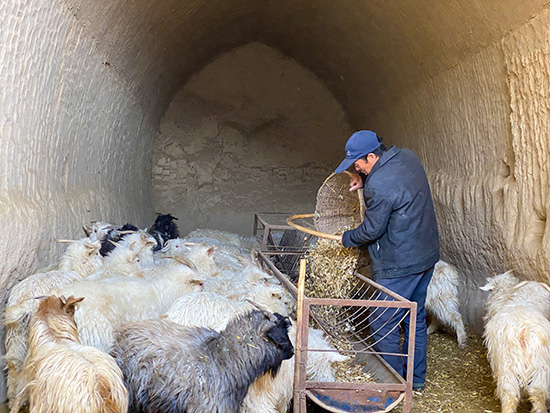 【新春走基層】從貧困戶到“致富帶頭人”，6年間他的生活迎來巨變！