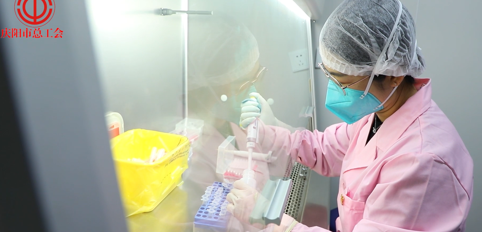 【講述奮斗故事 激勵建功立業】朱圭娜：我與病毒面對面