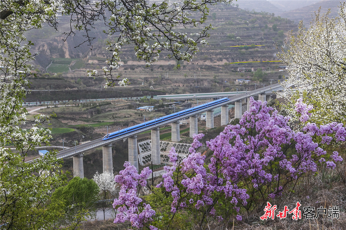 錨定目標 篤行實干 加快革命老區高質量發展——訪慶陽市委書記黃澤元