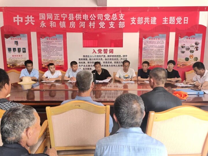 國網正寧供電公司黨總支與正寧縣房河村黨支部開展結對共建活動