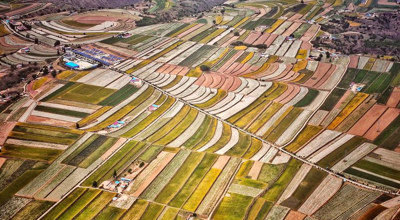 【喜迎二十大】田疇沃野織錦繡——黨的十八大以來慶陽市糧食生產發展綜述