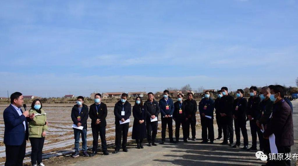 鎮原縣郭原鄉：好政策讓種糧農民有奔頭