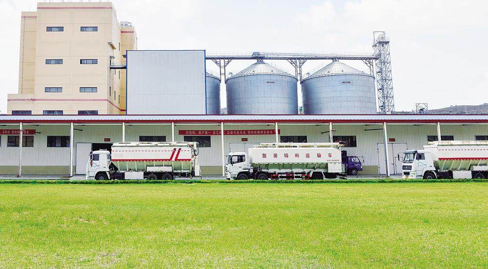 甘肅圣越農牧發展有限公司飼料廠。 通訊員 田永昭 攝