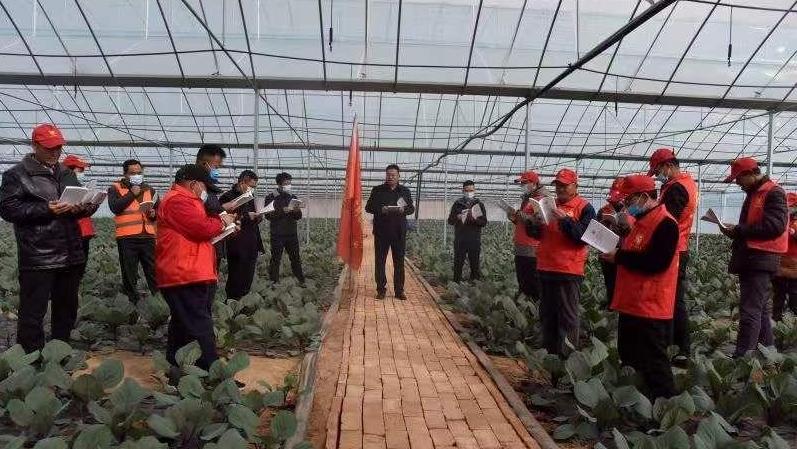 鎮原縣新集鎮：蔬菜棚里宣講忙 “筑巢引鳳”興產業