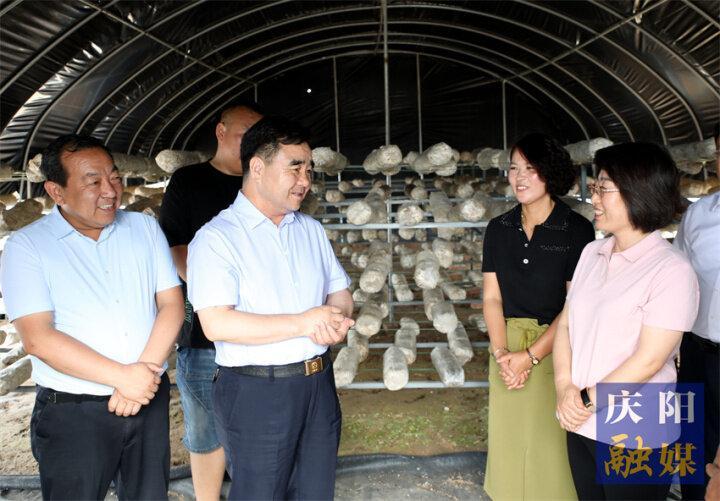 黃澤元在慶城縣調研時強調 務實重干抓項目 久久為功興產業 為縣域經濟發展增添新動力注入新活力