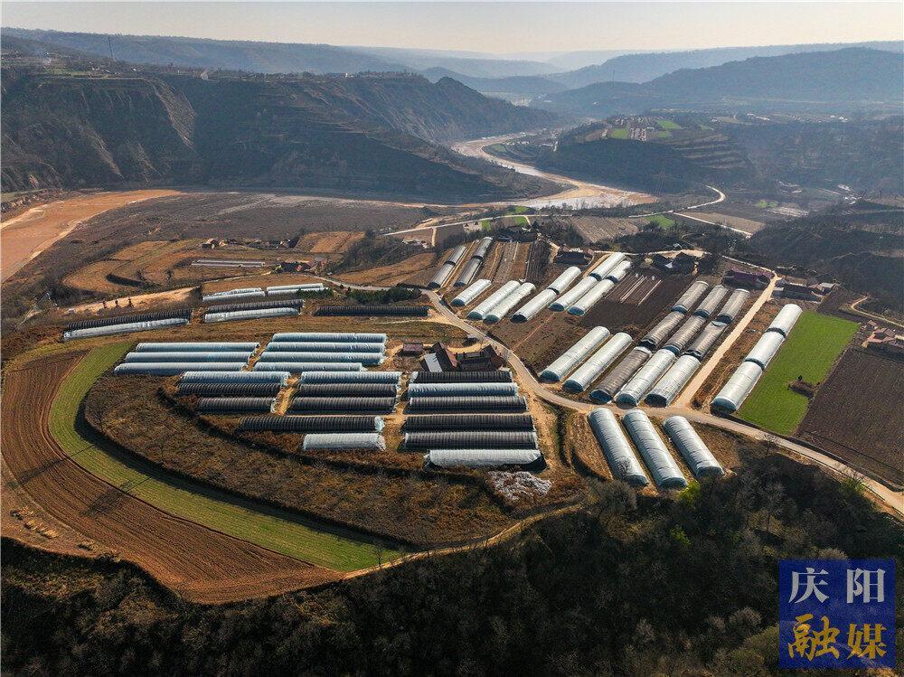 【鄉村行 看振興】合水縣：“小菌菇”漸成“大產業”