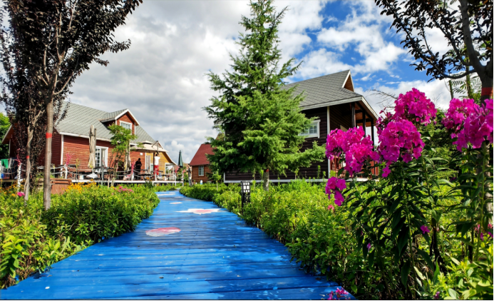 尋春慶陽(yáng)丨寧縣鄉(xiāng)村田園畫卷，花海、美食、民宿······都在等著你！