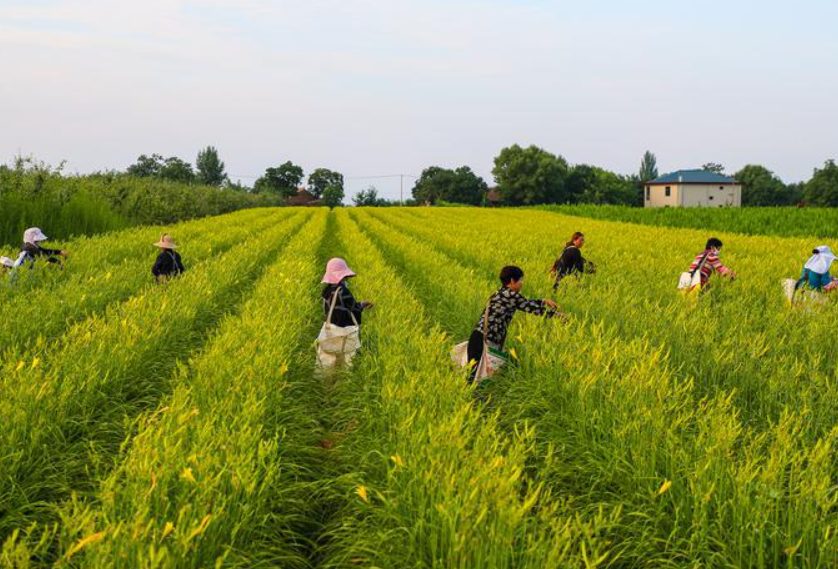 蔣主宇 | 感恩母親節