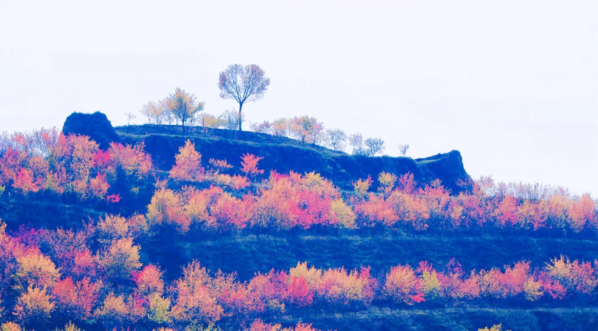 薦讀 | 發現墩墩梁（武國榮）