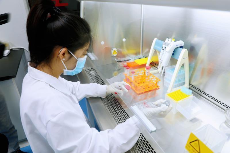 環縣 科技賦能促發展 創新驅動顯成效