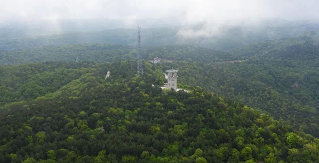 以慶陽夏天的名義，我們____