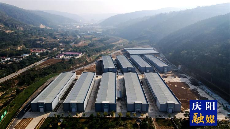 一脈“藥香”開出山鄉(xiāng)致富“良方”——華池縣發(fā)展中藥材產業(yè)促縣美民富