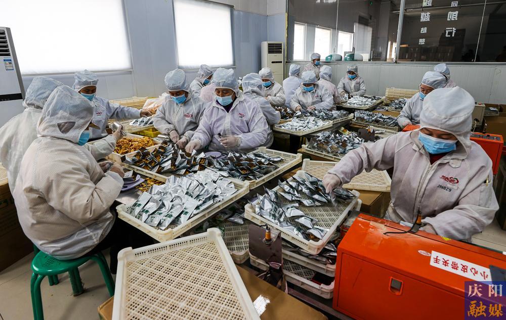 【攝影報道】正寧縣金牛實業復工復產，沖刺“開門紅”