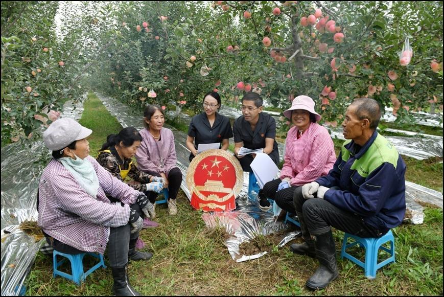 【法治慶陽】新“楓”正勁 向“治”而行——西峰區人民法院后官寨法庭創建“楓橋式人民法庭”工作紀實