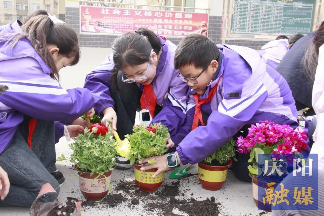 【點亮美好教育】“植”此青綠 共赴春天 西峰區新建小學開展植樹節主題活動