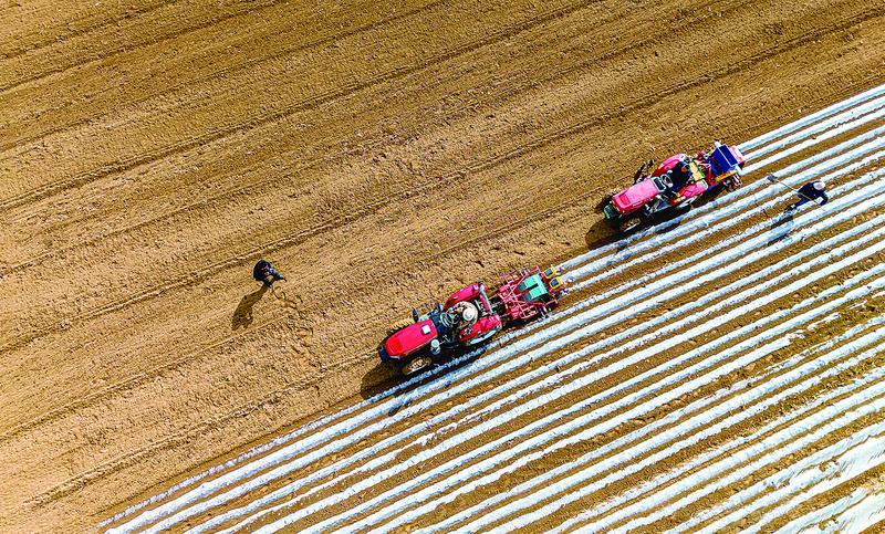 【攝影報(bào)道】人勤春來早 春耕備耕忙