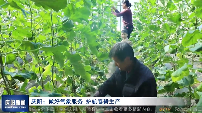 《慶陽(yáng)新聞》2025年3月26日