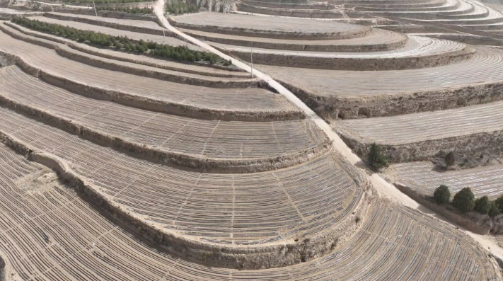 鎮(zhèn)原縣殷家城鄉(xiāng)：頂凌覆膜正當(dāng)時(shí) 春耕備耕搶先機(jī)