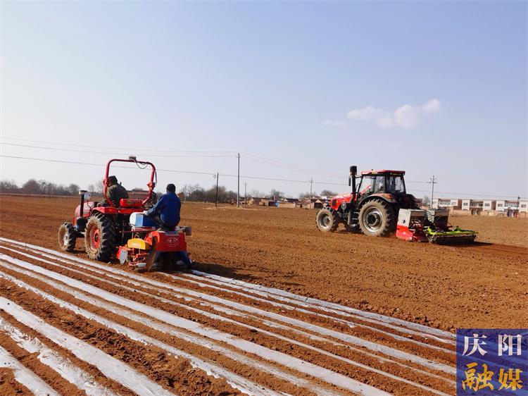 寧縣推動(dòng)“六大”產(chǎn)業(yè)全鏈升級(jí)