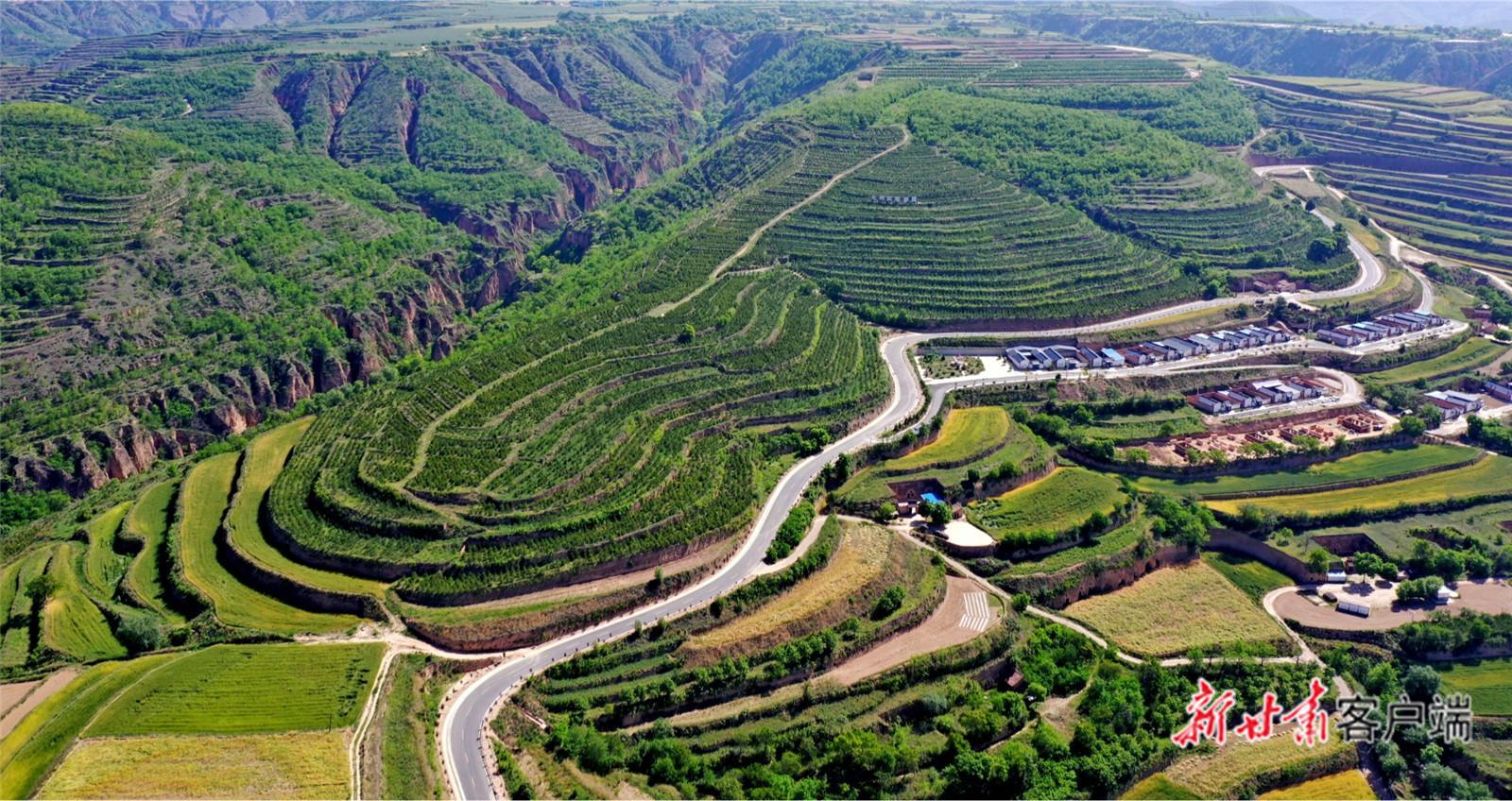 【建設美麗甘肅 推進“三北”工程 構筑“綠色長城”】萬里逐綠 譜寫“三北”工程新篇章——甘肅以系統治理筑牢西部生態安全防線