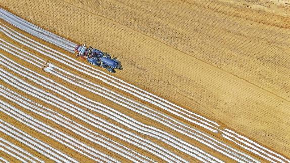【鄉村振興】環縣：搶抓墑情忙夏種