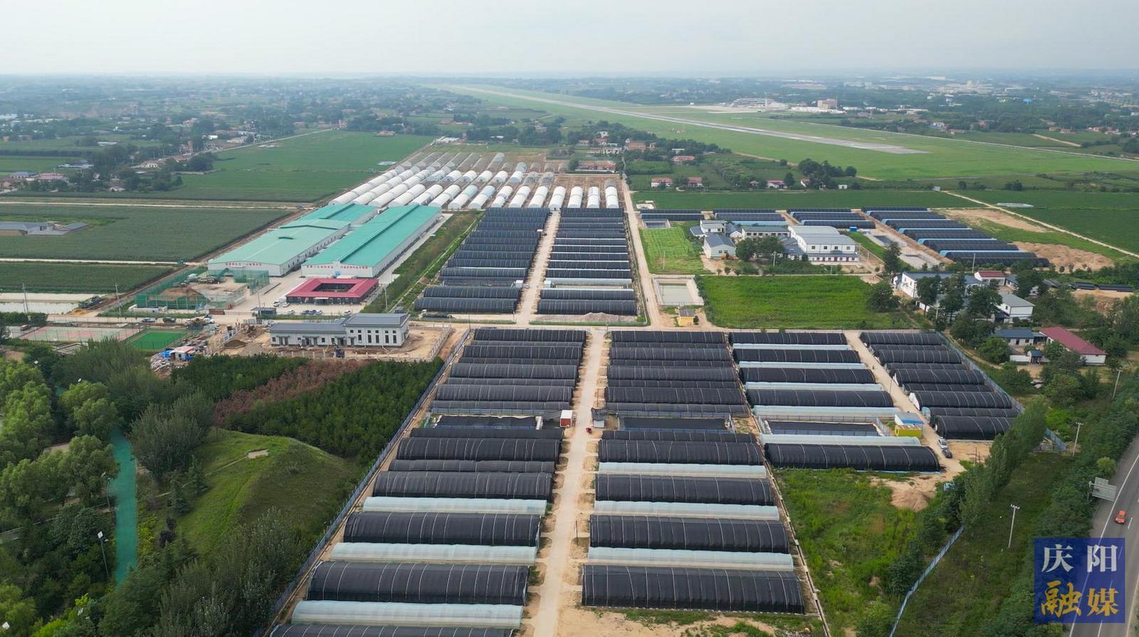 【攝影報(bào)道】小木耳種出“大產(chǎn)業(yè)”