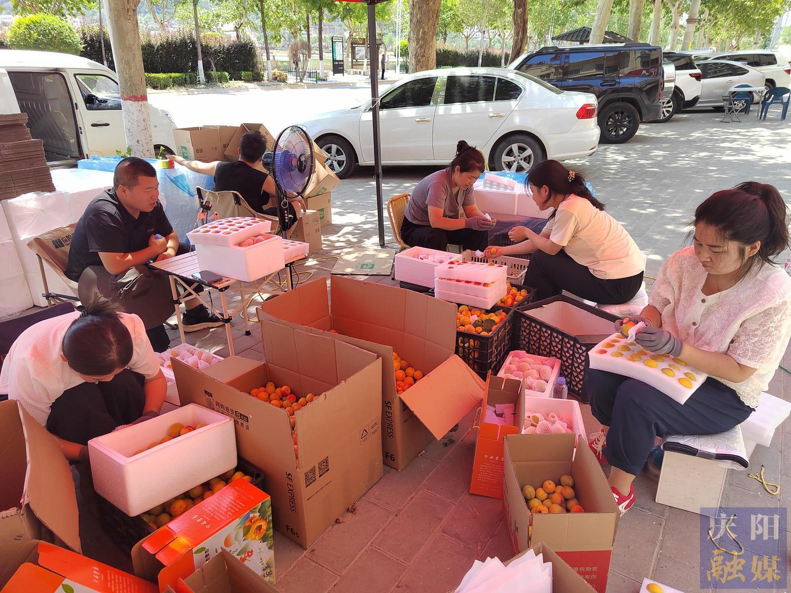 【攝影報道】寧縣曹杏搭上電商“順風車”