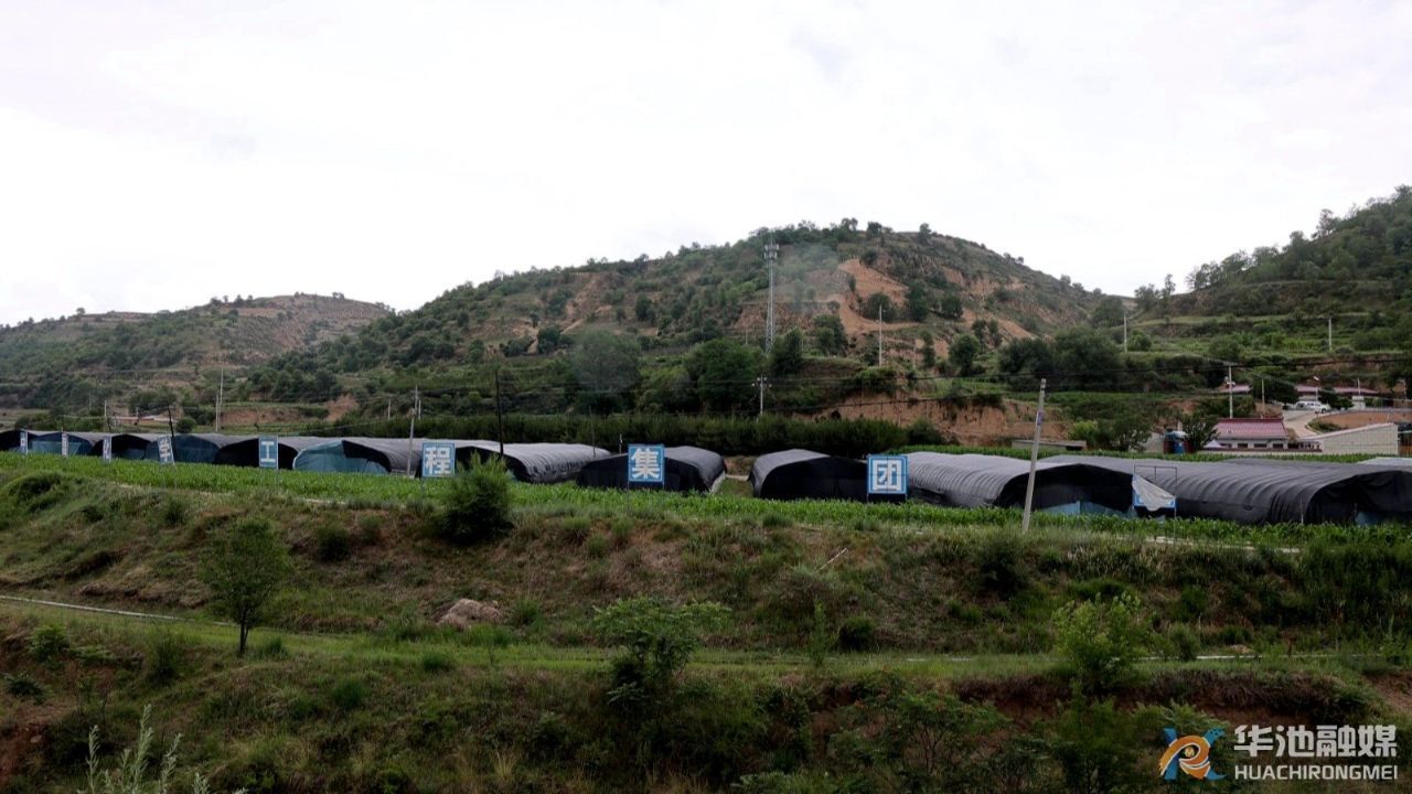 華池：食用菌產業“菇”勁十足