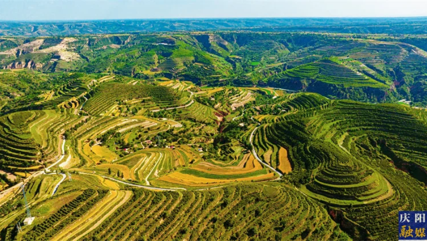 北地詩陣 | 遠望故鄉(xiāng)（謝文魁）