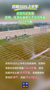 【回眸2025上半年】慶陽市上半年已實施造林、撫育和草原生態保護修復143.4萬畝