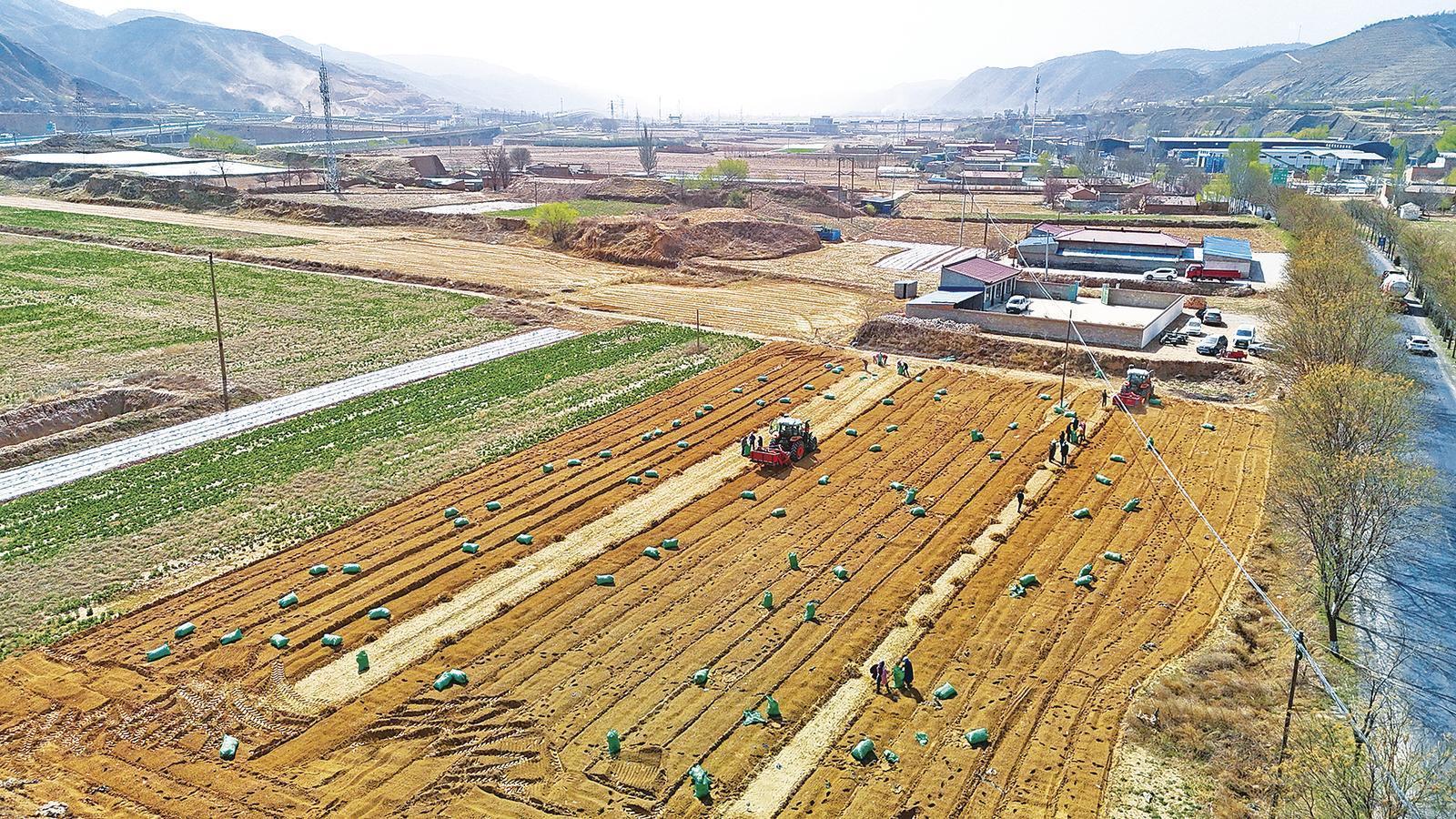 《隴東報》特刊·鄉村振興︱基層治理、產業鋪路......慶陽打好“組合拳”鋪就振興路