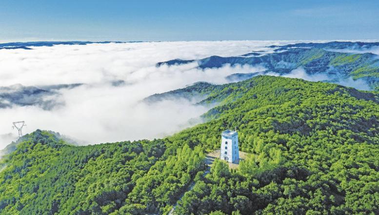 慶陽市筑牢生態屏障 擦亮高質量發展底色