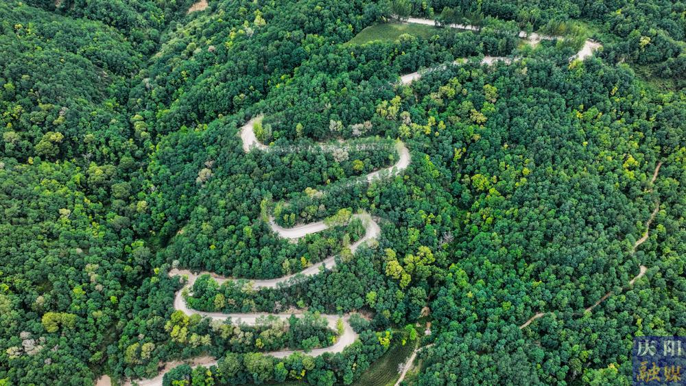 【攝影報道】S501線五頃塬至三嘉公路（張村至劉家店段）改建工程建設正酣