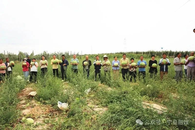 寧縣平定村：晚熟西瓜上市 激活村集體“甜蜜經濟”