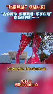 一場“熱帶風暴”登陸慶陽！狂薅東南亞風情水果和精美玉器