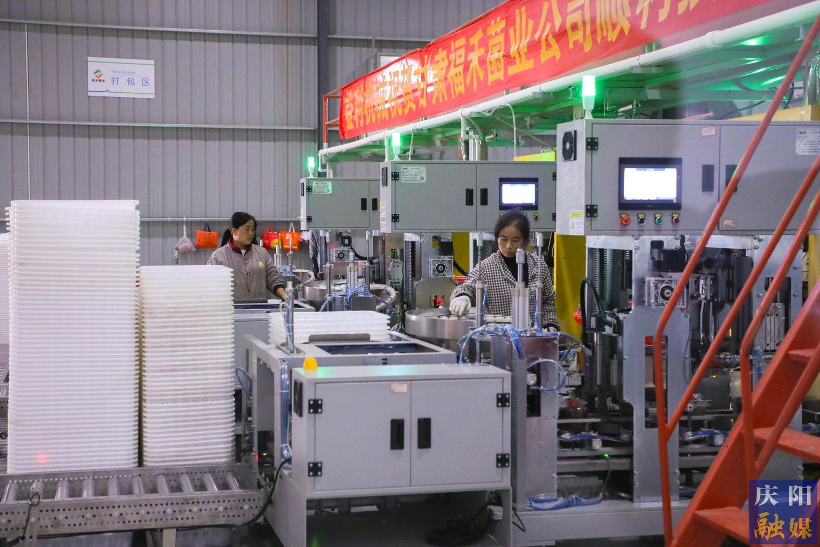 【挑大梁 作標桿】縣區高質量發展巡禮——寧縣