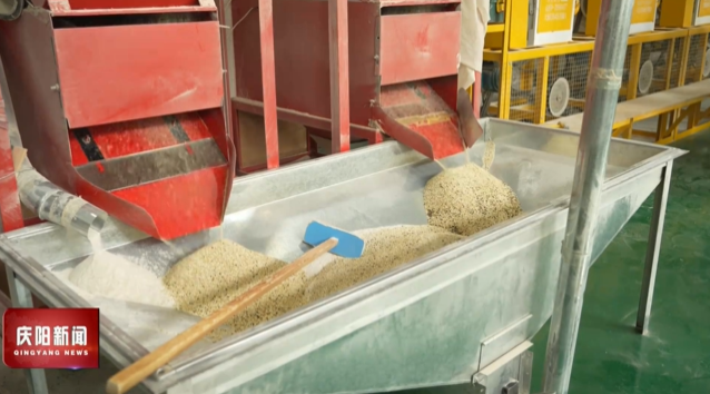 《慶陽新聞》2025年10月5日