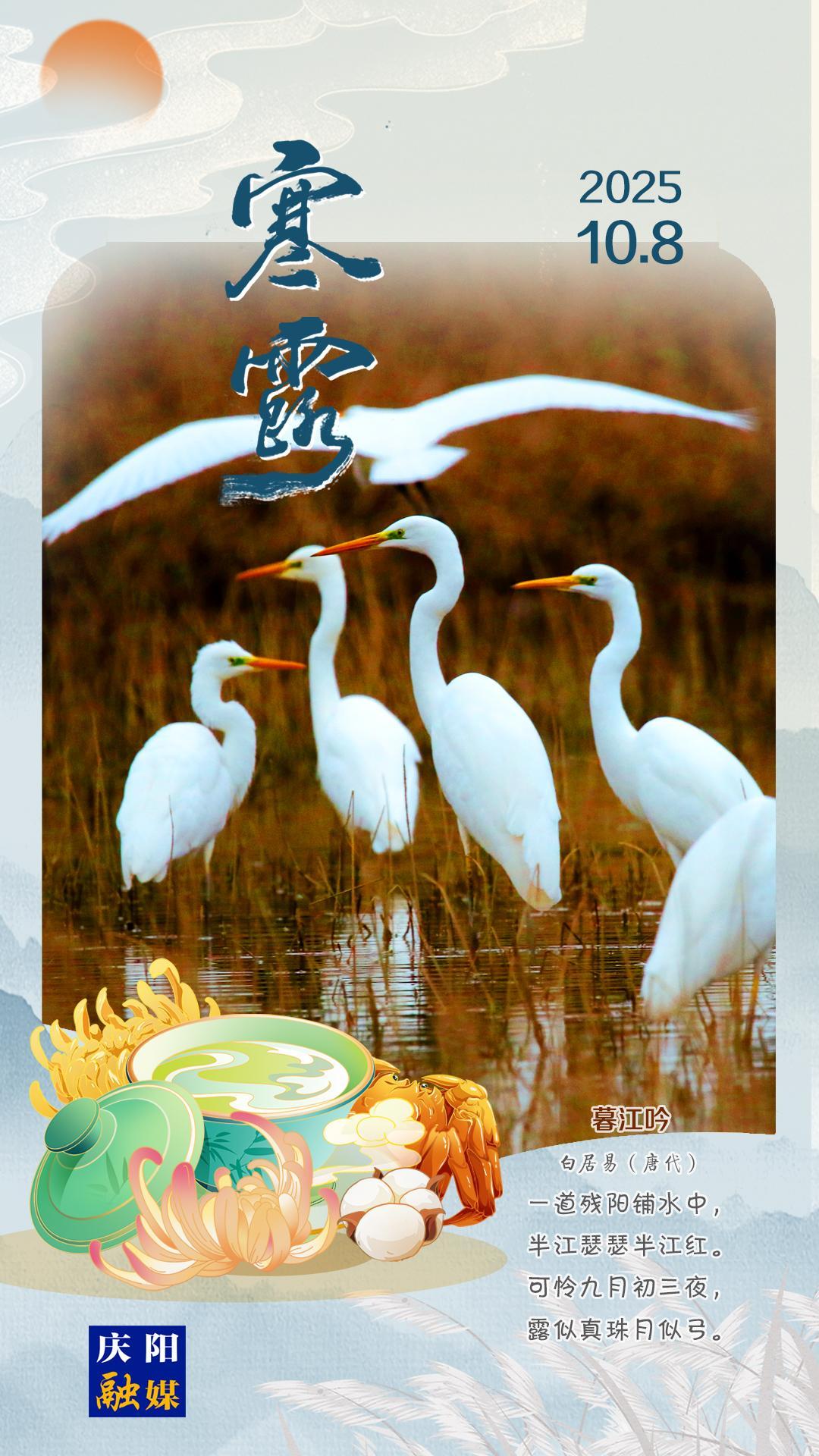 【微海報】寒露丨玉露寒秋 天帝競艷