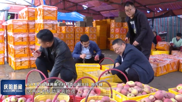 《慶陽新聞》2025年10月14日