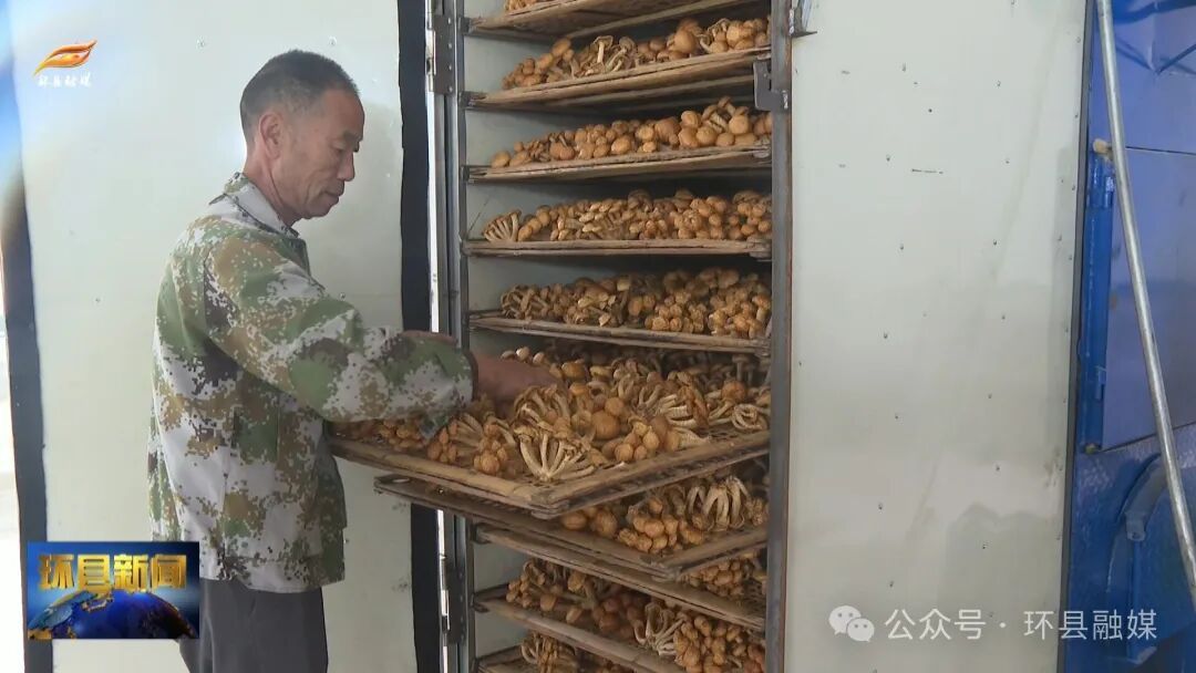 《走基層看豐收》車道鎮：食用菌成為增收致富的新興產業