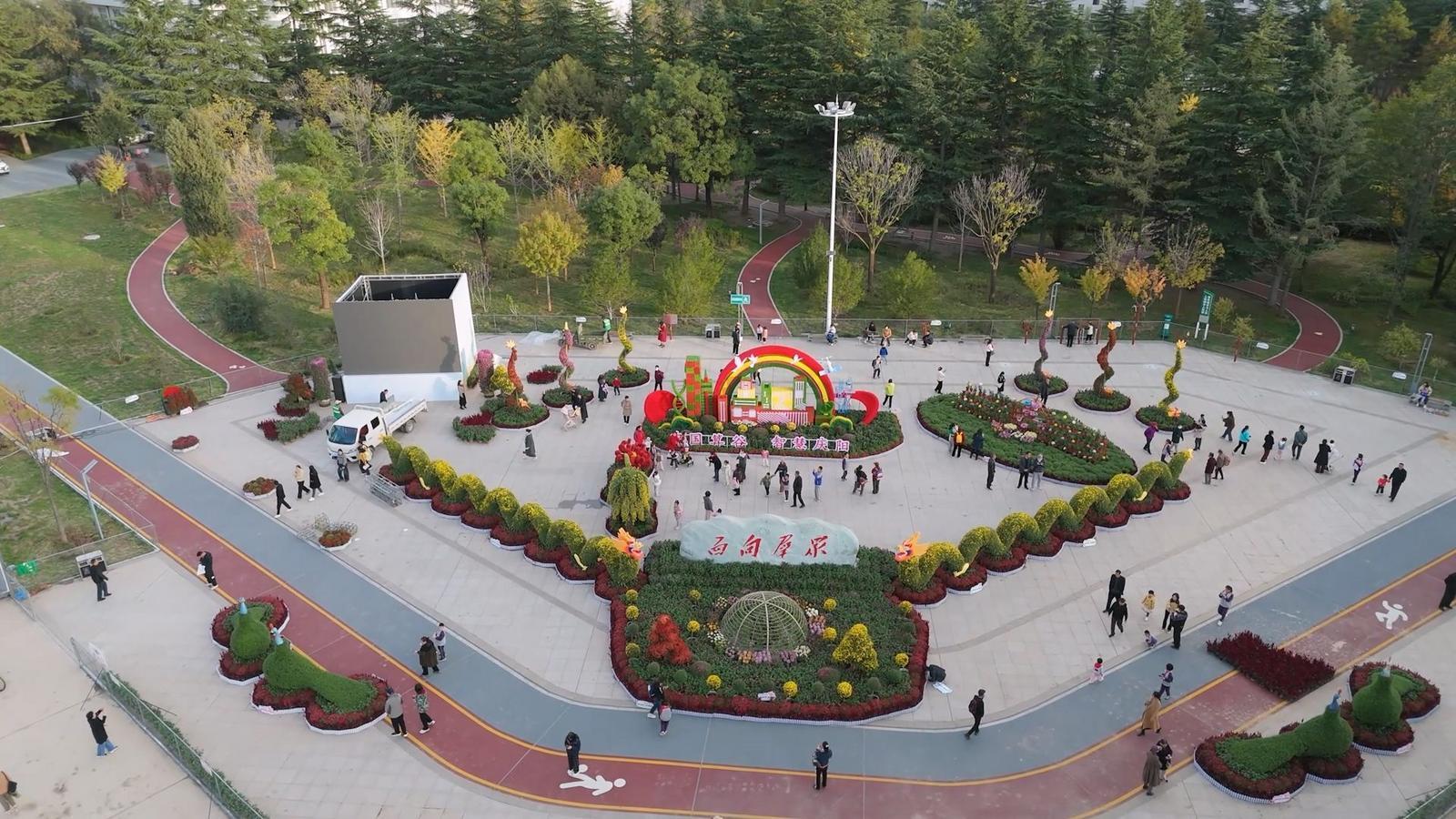 西峰區“菊韻金秋”菊花展打造市民沉浸式體驗新場景