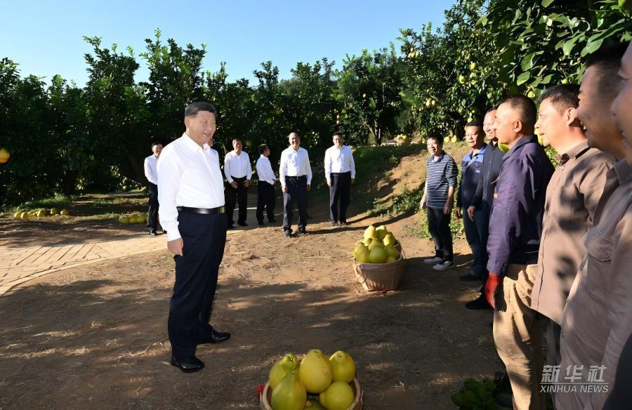 學習進行時｜習近平總書記關心推動老區發展振興的故事